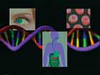 An Interactive DVD. Clearly and simply presents basic information on one of the most important concepts in modern science-the gene. New computer animations help clarify the concepts. Includes guided questions and quizzes to help teachers reinforce concepts recommended in the National Science Standards.
<br><br>
<i>Part 1. How Genes Were Discovered.</i> Dramatizes the history of genetic discovery from Mendel in his monastery garden to Watson and Crick at the Cavendish Laboratory in England.
<br><br>
<i>Part 2. What Is a Gene and How Does It Work?</i>  Outlines the basic picture we have today of what a gene is and how it works. Includes new material on cloning and the human genome project.
